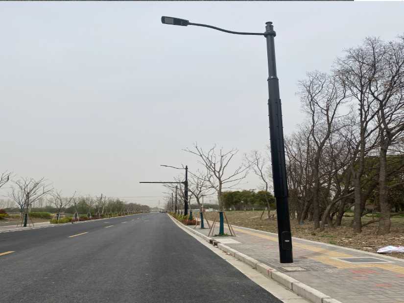 龙沙区上海综合杆 太阳能路灯工程